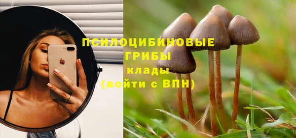 дмт Баксан