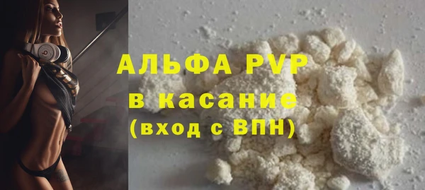 индика Аркадак