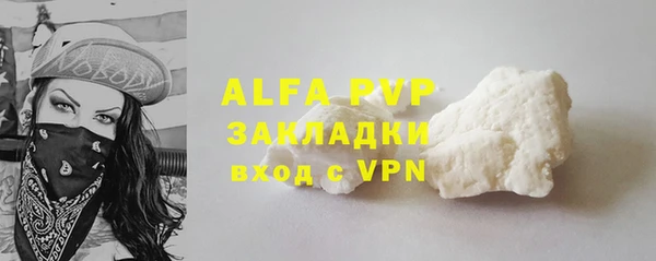 индика Аркадак
