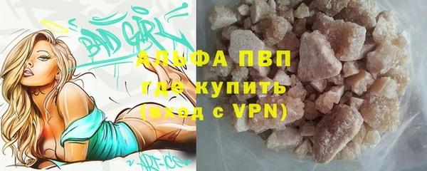 индика Аркадак