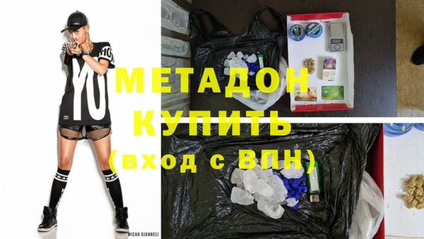индика Аркадак