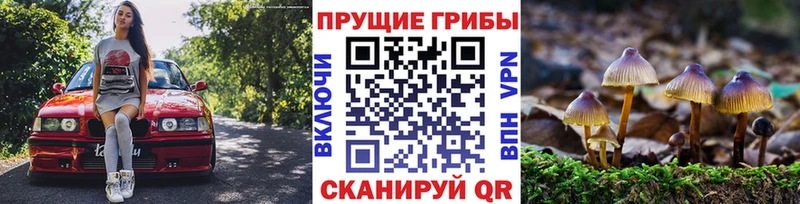 купить наркотики цена  блэк спрут вход  Галлюциногенные грибы прущие грибы  Спасск-Рязанский 